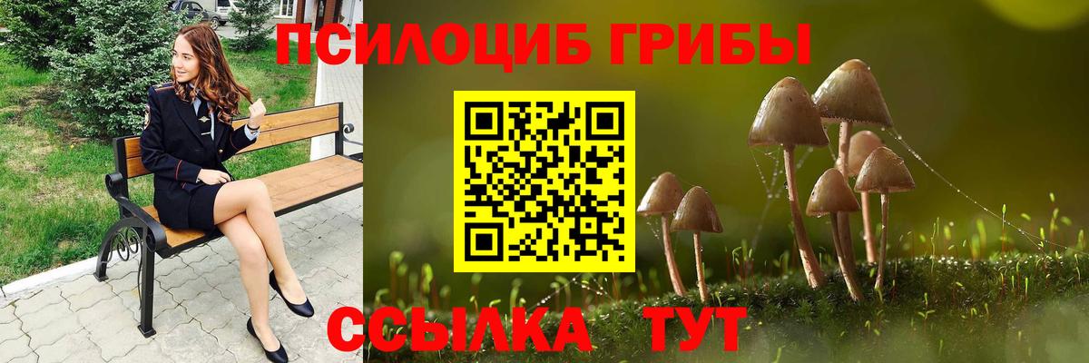 Галлюциногенные грибы Magic Shrooms  Вход с VPN  Великий Новгород  Псилоцибиновые грибы GOLDEN TEACHER 