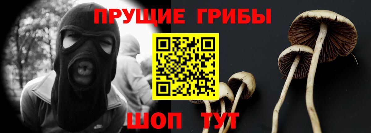 Галлюциногенные грибы Psilocybine cubensis Великий Новгород